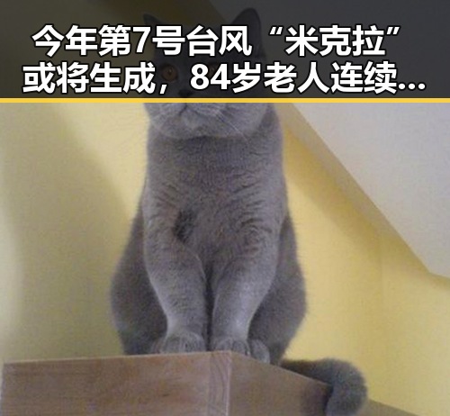今年第7号台风“米克拉”或将生成，84岁老人连续摔倒引发路人关注