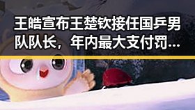 王皓宣布王楚钦接任国乒男队队长，年内最大支付罚单引发关注