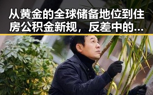 从黄金的全球储备地位到住房公积金新规，反差中的经济与生活细节变迁